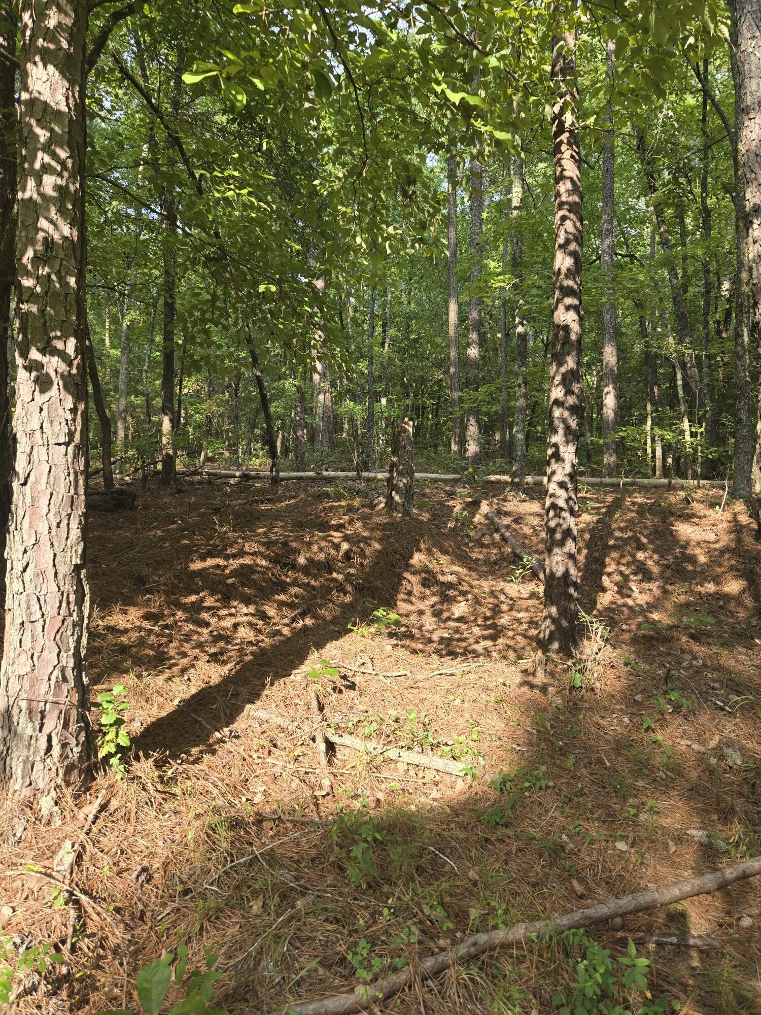 0 Lbk Road Tignall, GA 30668 - Photo 3 of 13 20250818_180301_resized