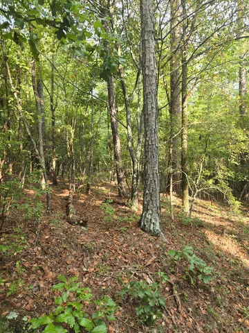 $125,000 | 0 Lbk Road, Tignall, GA 30668