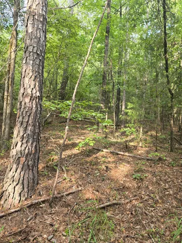 $125,000 | 0 Lbk Road, Tignall, GA 30668