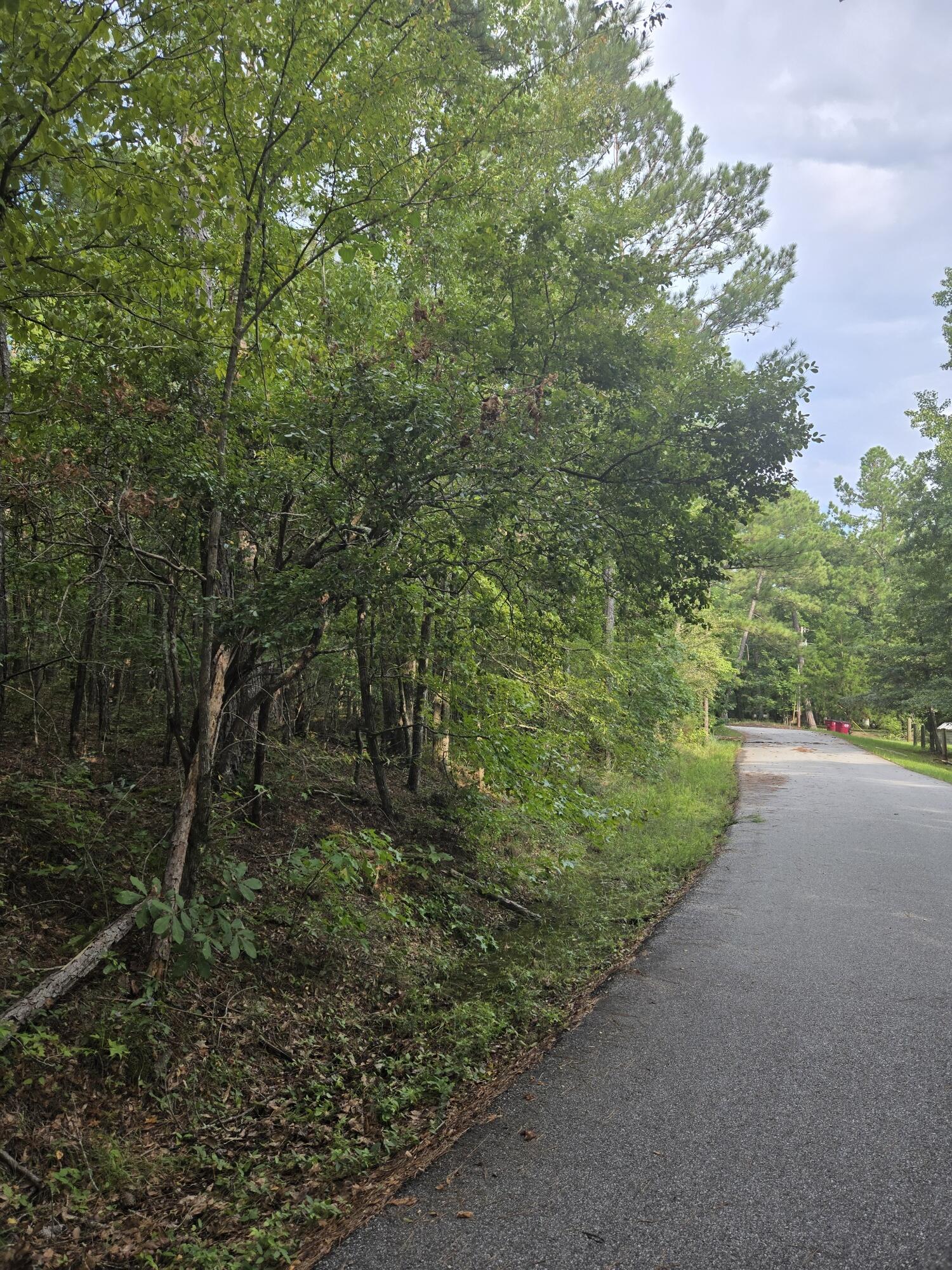 0 Lbk Road Tignall, GA 30668 - Photo 6 of 13 20250818_180410_resized