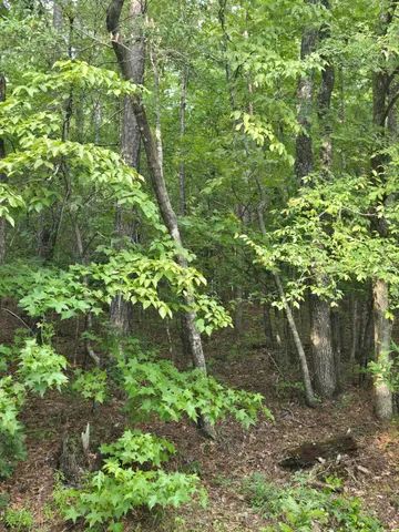 $125,000 | 0 Lbk Road, Tignall, GA 30668