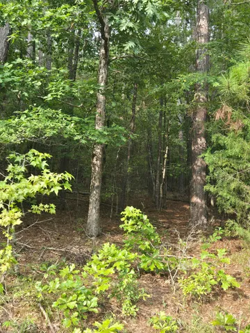 $125,000 | 0 Lbk Road, Tignall, GA 30668