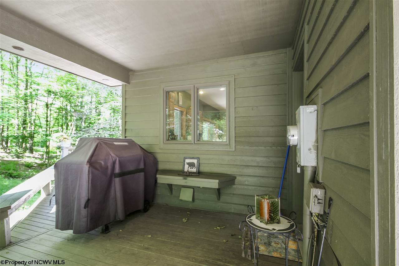 1017 Cabin Mountain Road Davis, WV 26260 - Photo 20 of 20 Gallery Image 20
