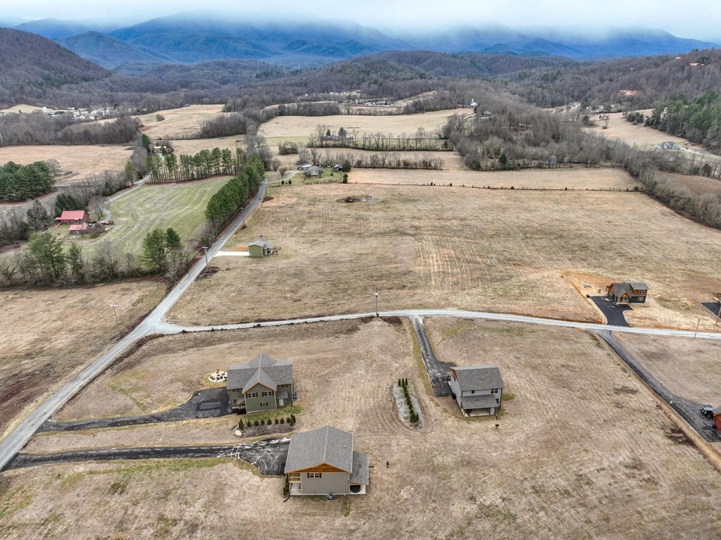 5397 Cocke County Line Road Cosby, TN 37722 - Photo 6 of 48