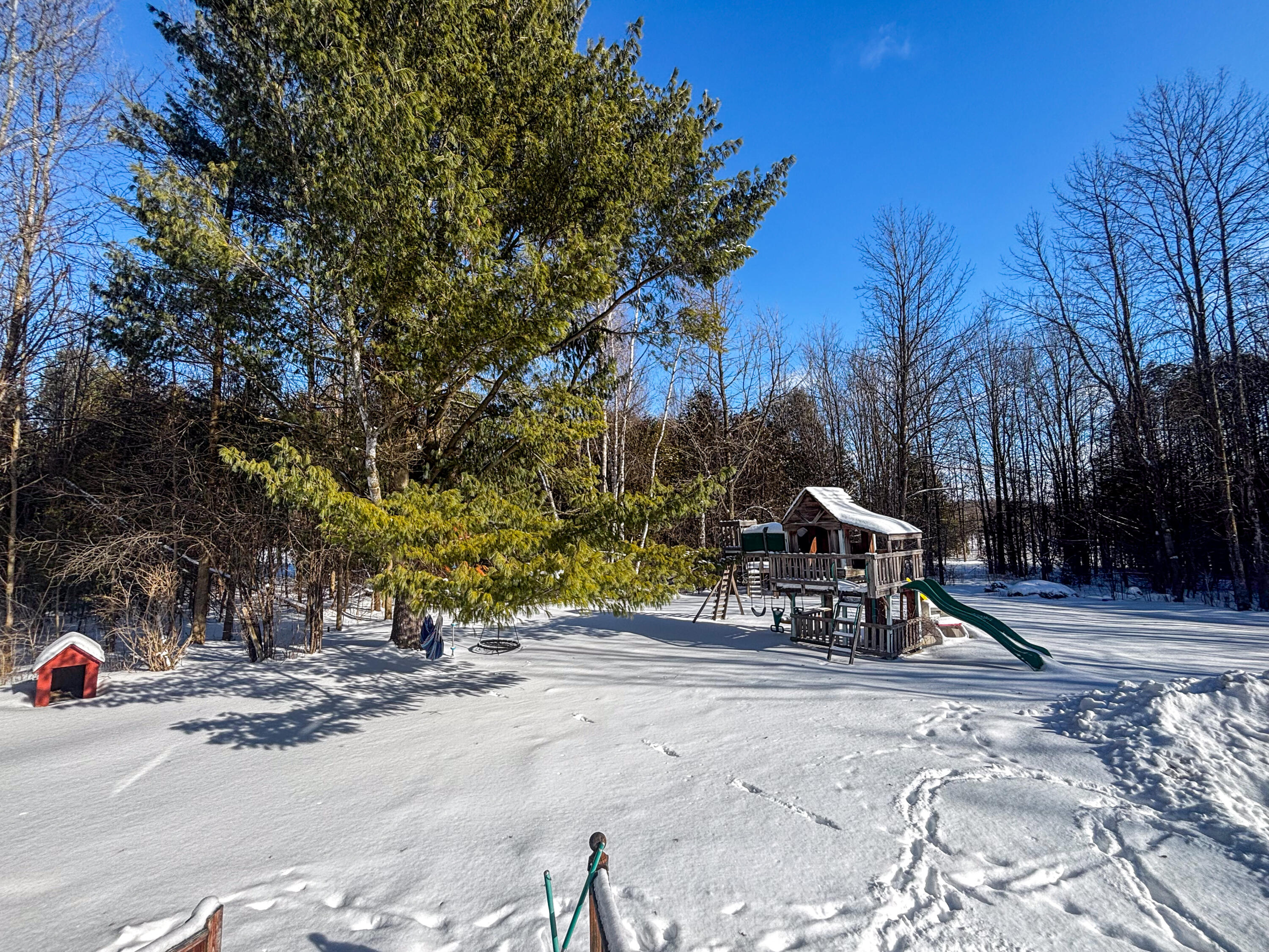 690 Ratta Road Chazy, NY 12921 - Photo 25 of 29 Backyard