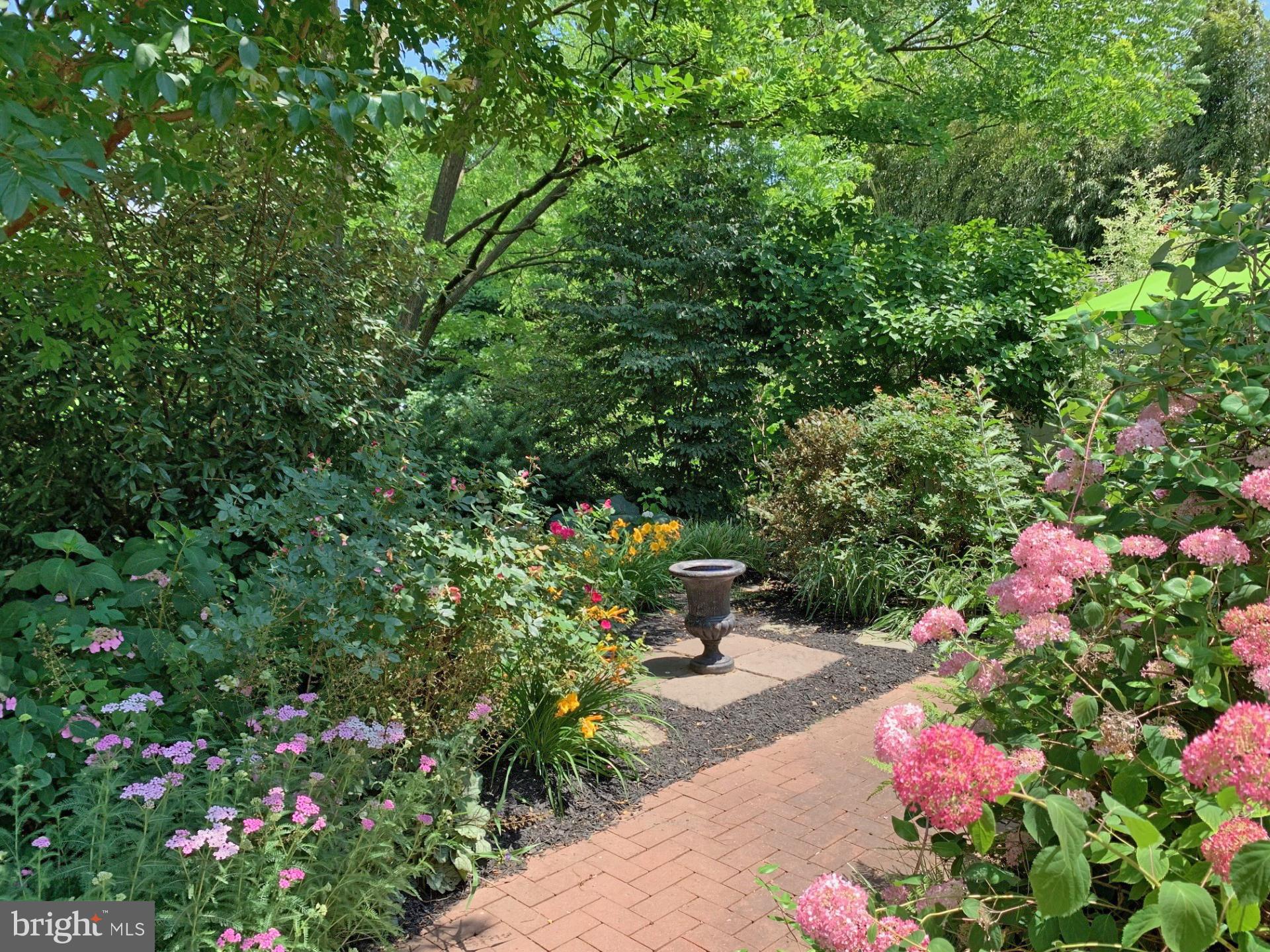 117 West 5th Street Media, PA 19063 - Photo 51 of 54 a picture of flowers