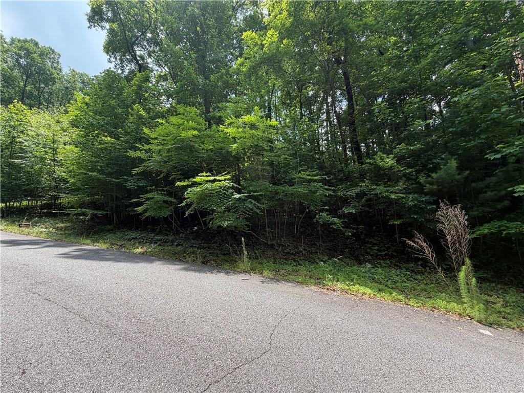 Lot 19 Mill Ridge Road Hiawassee, GA 30546 - Photo 3 of 5