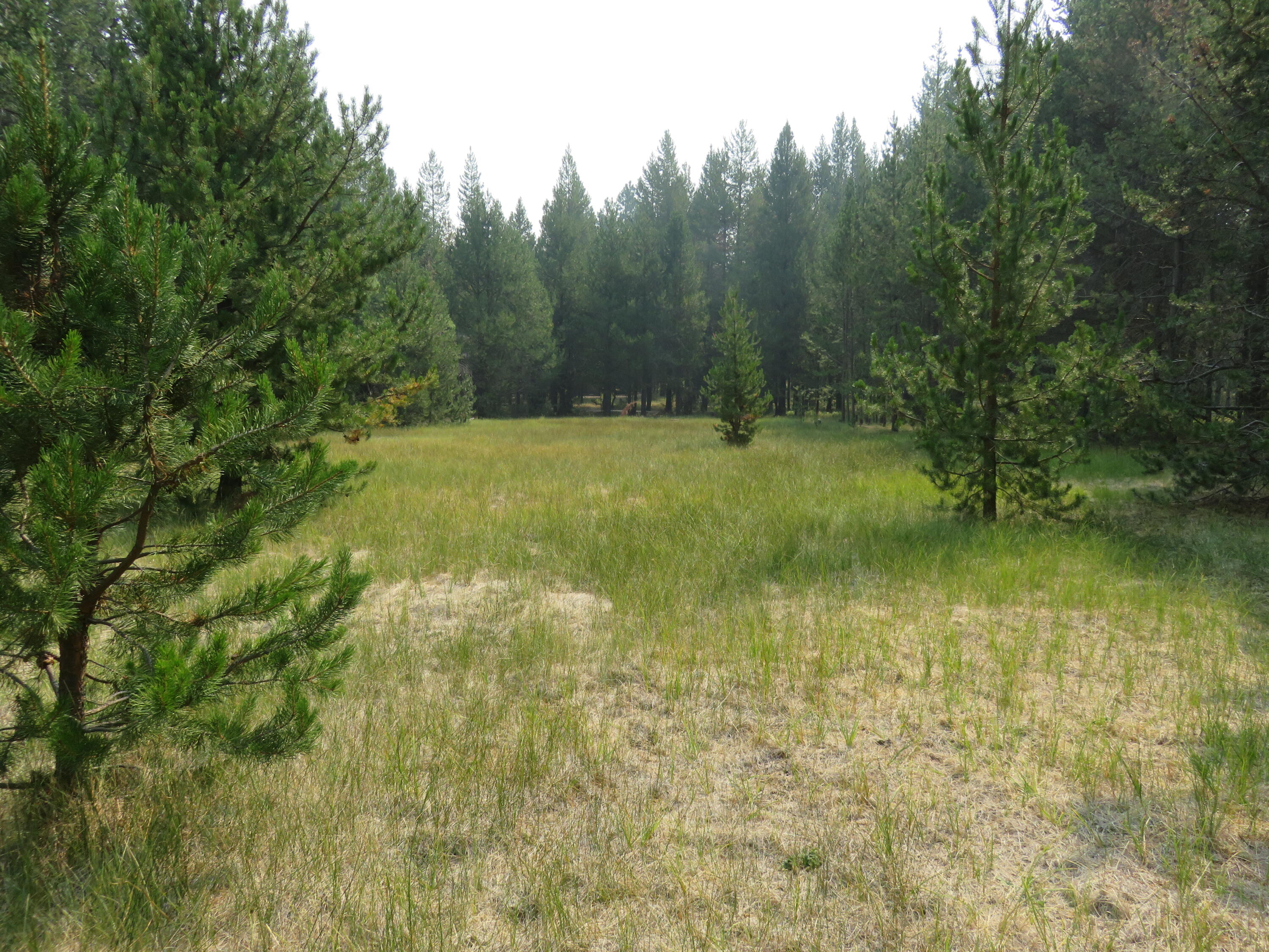 16944 Glendale Road Bend, OR 97707 - Photo 4 of 13 IMG_0070 (002)