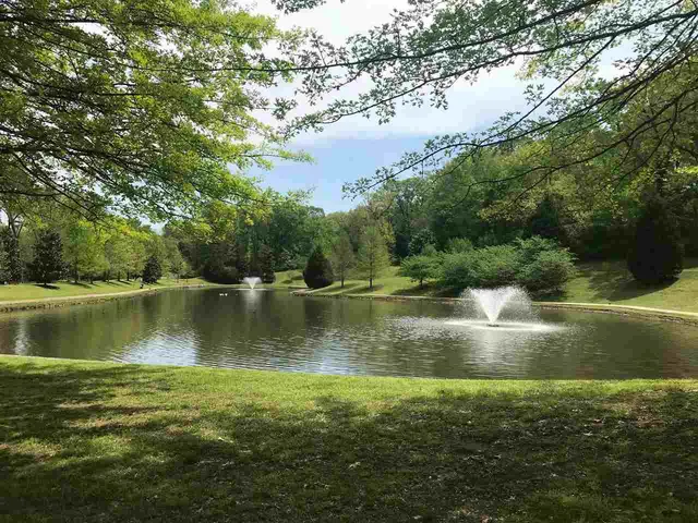 a view of a park with tree s
