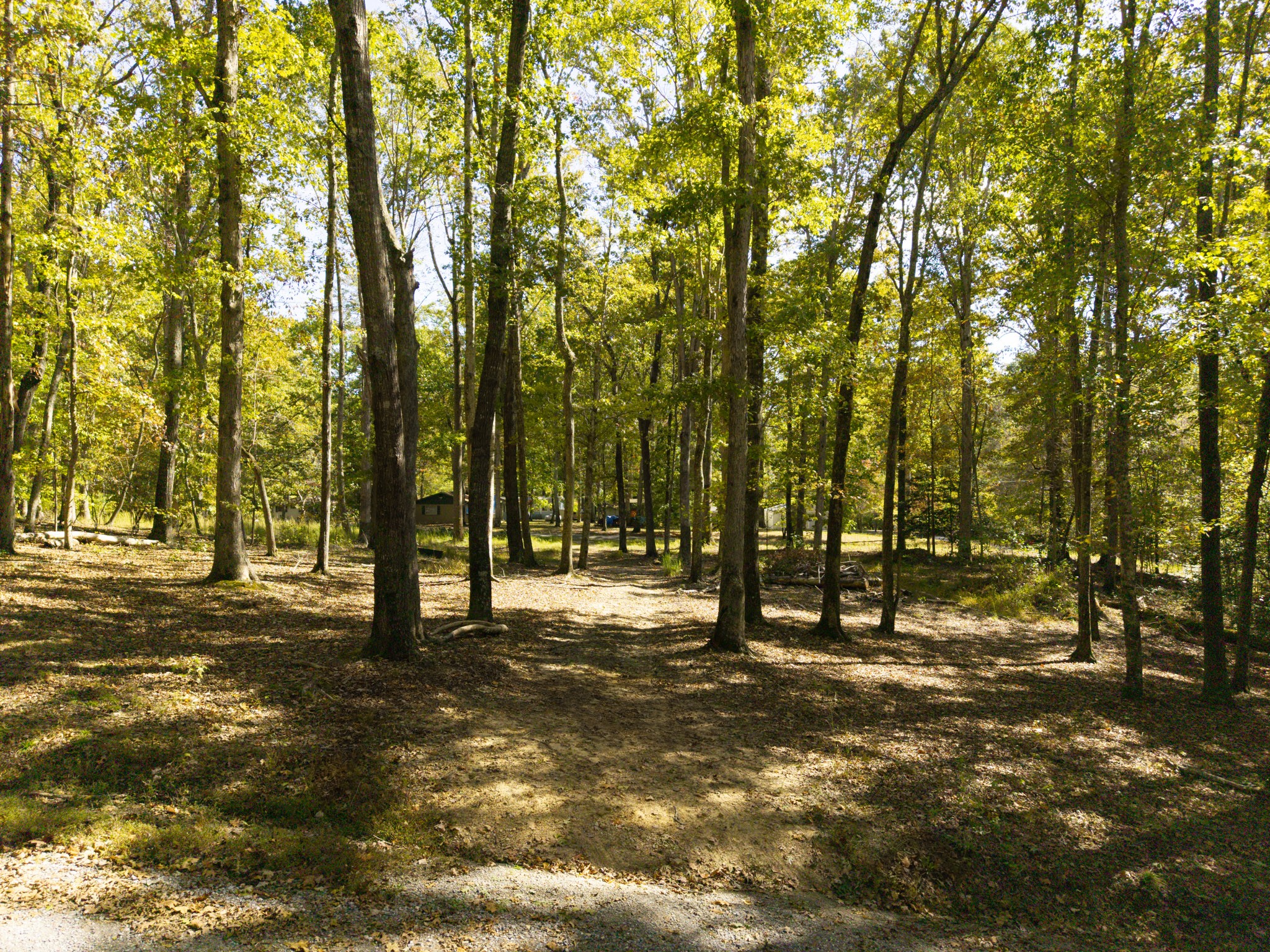 484 Apollo Drive Spring City, TN 37381 - Photo 2 of 18 a view of outdoor space with trees