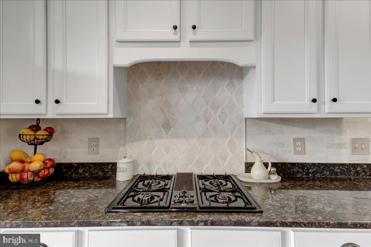 42318 Rising Moon Place Brambleton, VA 20148 - Photo 16 of 50 Gallery Image 16