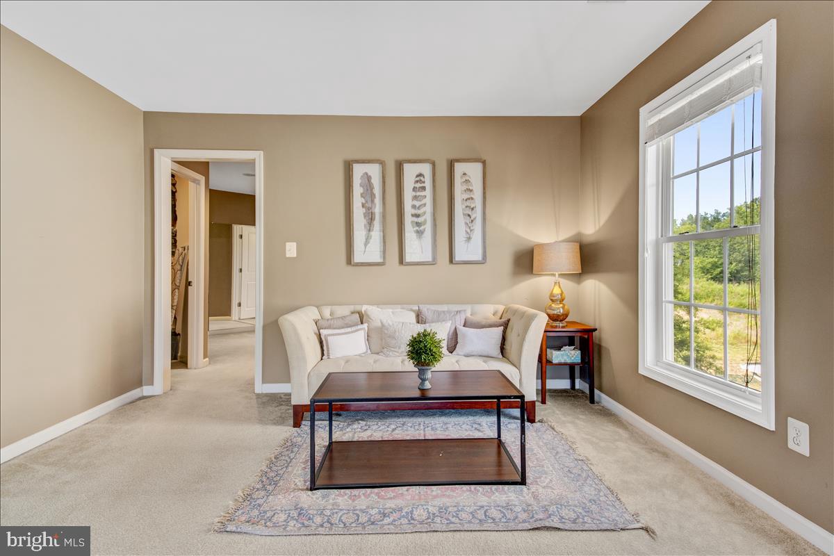 42318 Rising Moon Place Brambleton, VA 20148 - Photo 31 of 50 Gallery Image 31