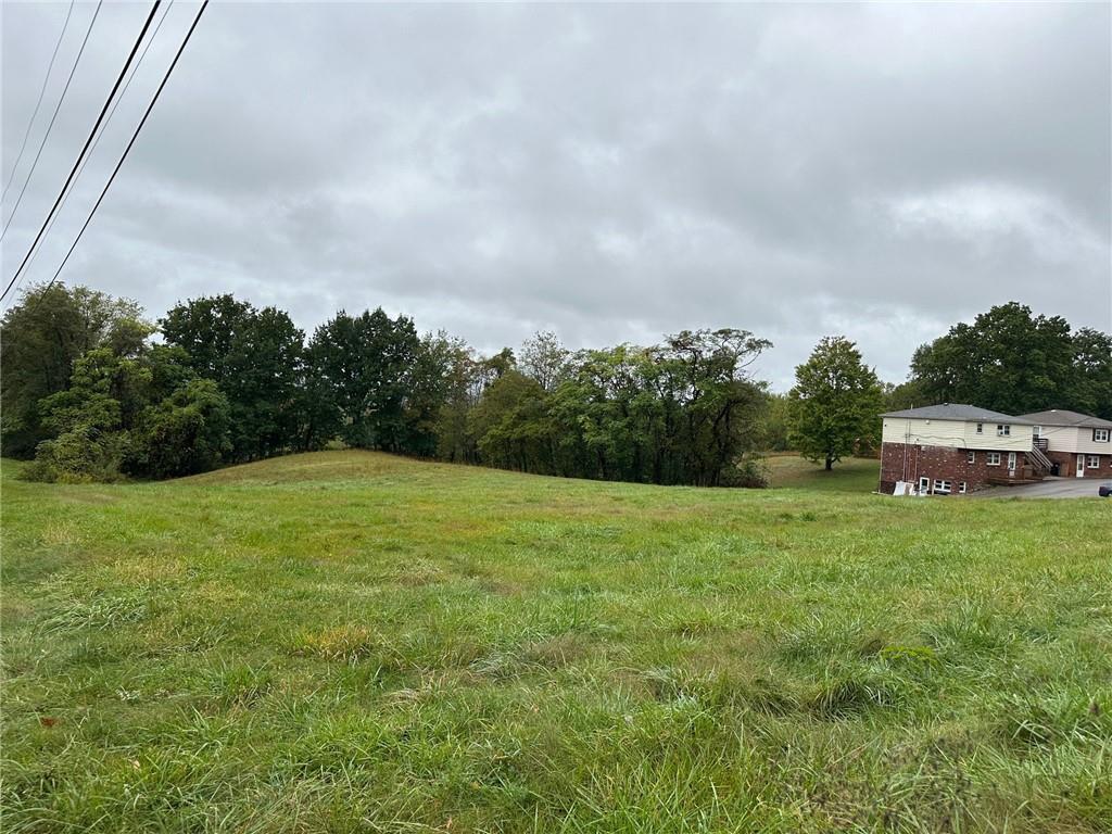 0 Temple Road Monaca, PA 15061 - Photo 9 of 14 a view of a big yard with plants and a large tree