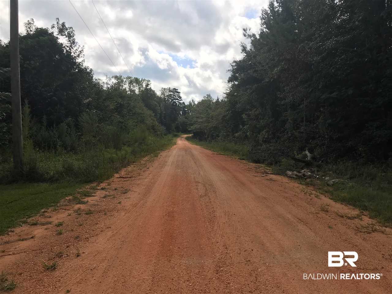 1000 Poole Road Castleberry, AL 36432 - Photo 5 of 17