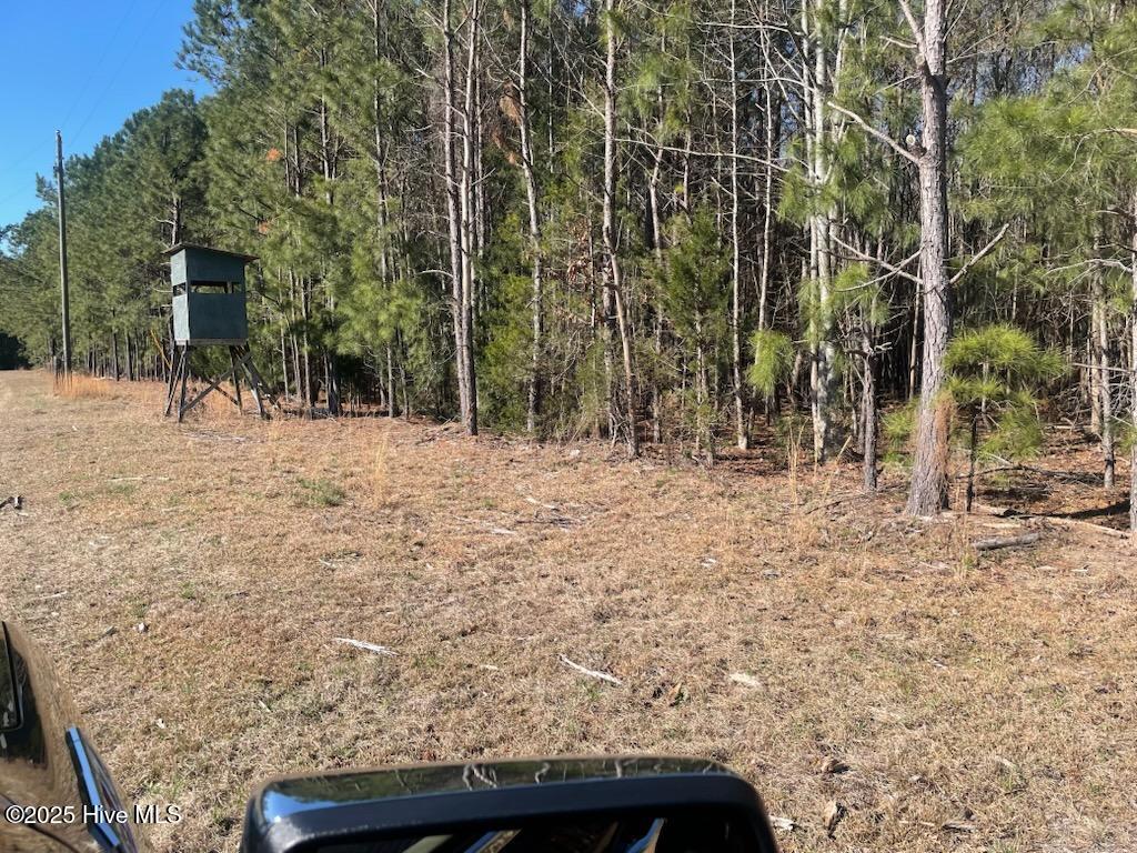 5635 McKendree Church Road Tarboro, NC 27886 - Photo 21 of 80 IMG954138 (2)