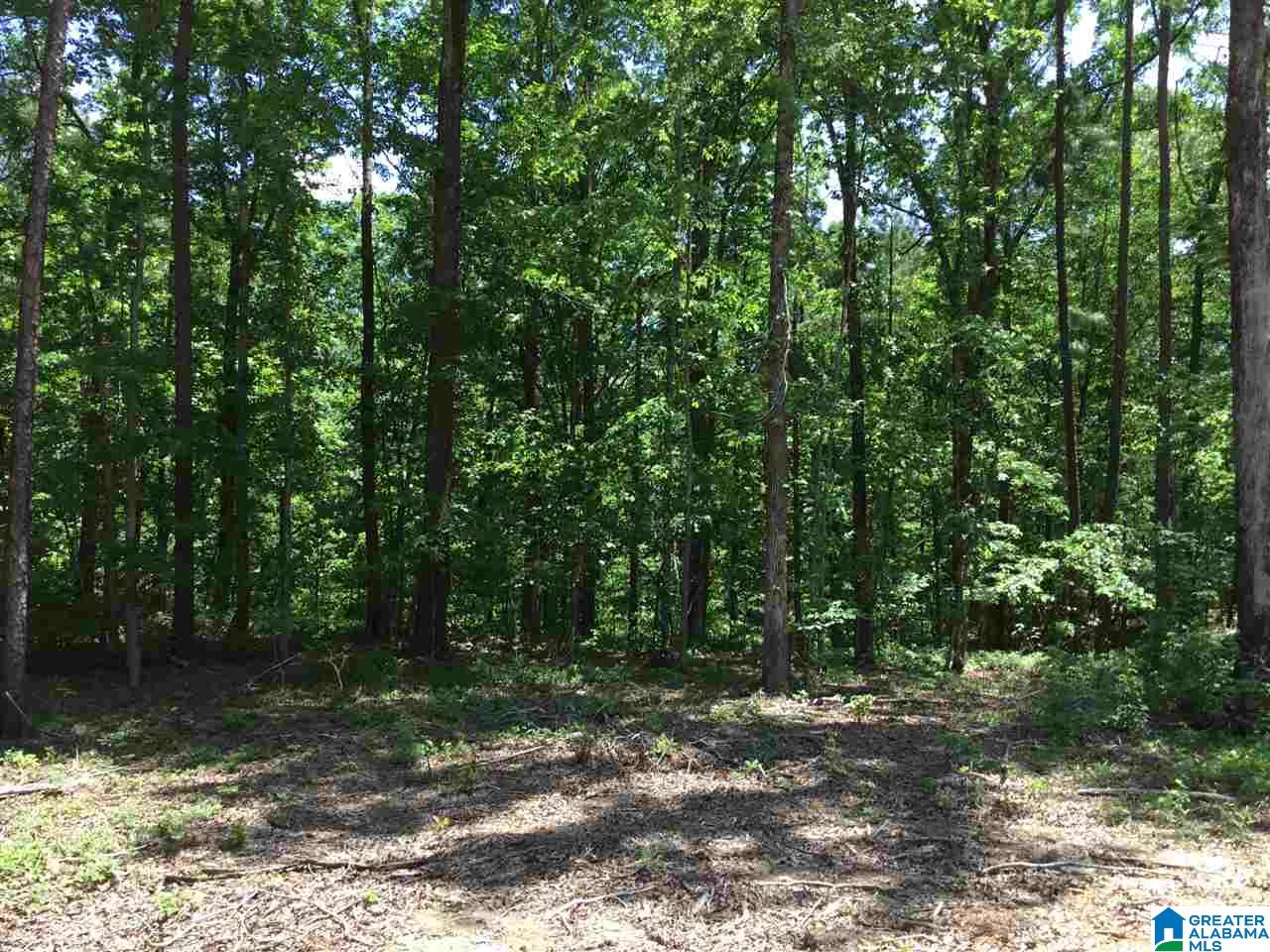 7237 Joinertown Road, Unit 7 09 ACRES Columbiana, AL 35051 - Photo 11 of 17