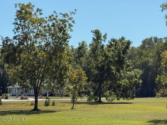 42 Cordgrass Pointe Road Bath, NC 27808 - Photo 15 of 26 IMG_0219