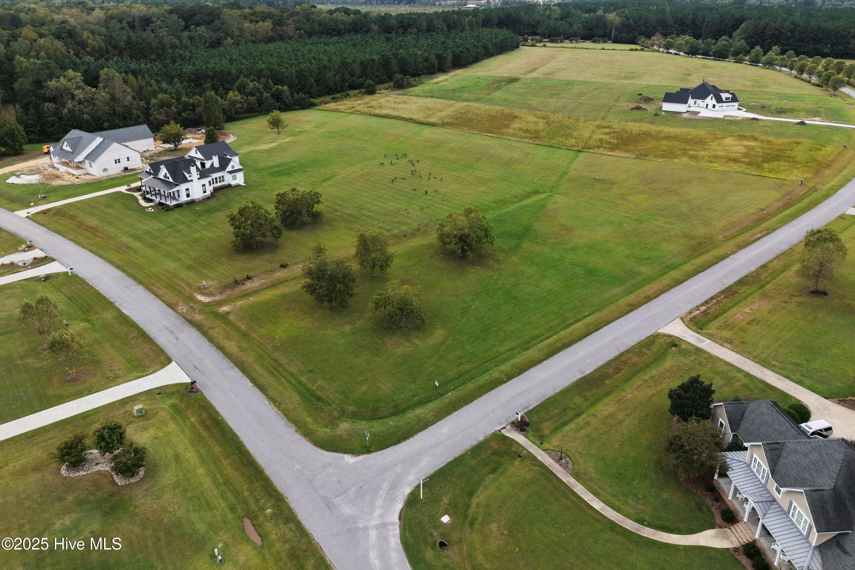 42 Cordgrass Pointe Road Bath, NC 27808 - Photo 9 of 26 42 Cordgrass Pointe Road-1