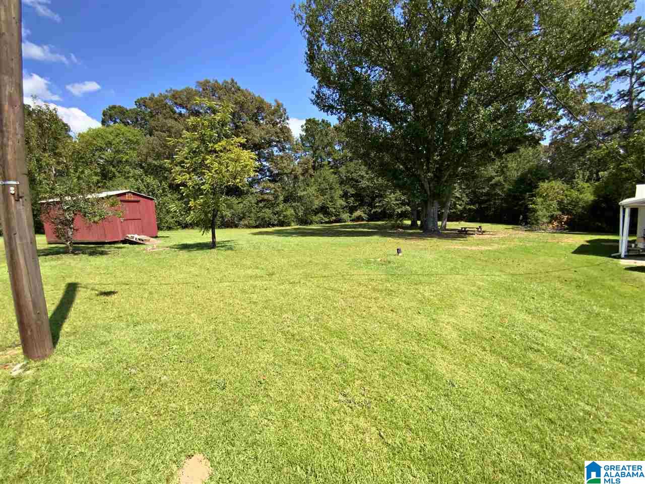 933 McElderry Road North Munford, AL 36268 - Photo 3 of 27