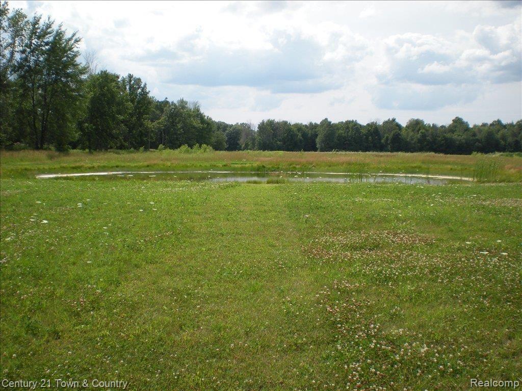 1129 Wheeler Road Allenton, MI 48002 - Photo 12 of 19 Wheeler-Tun 101