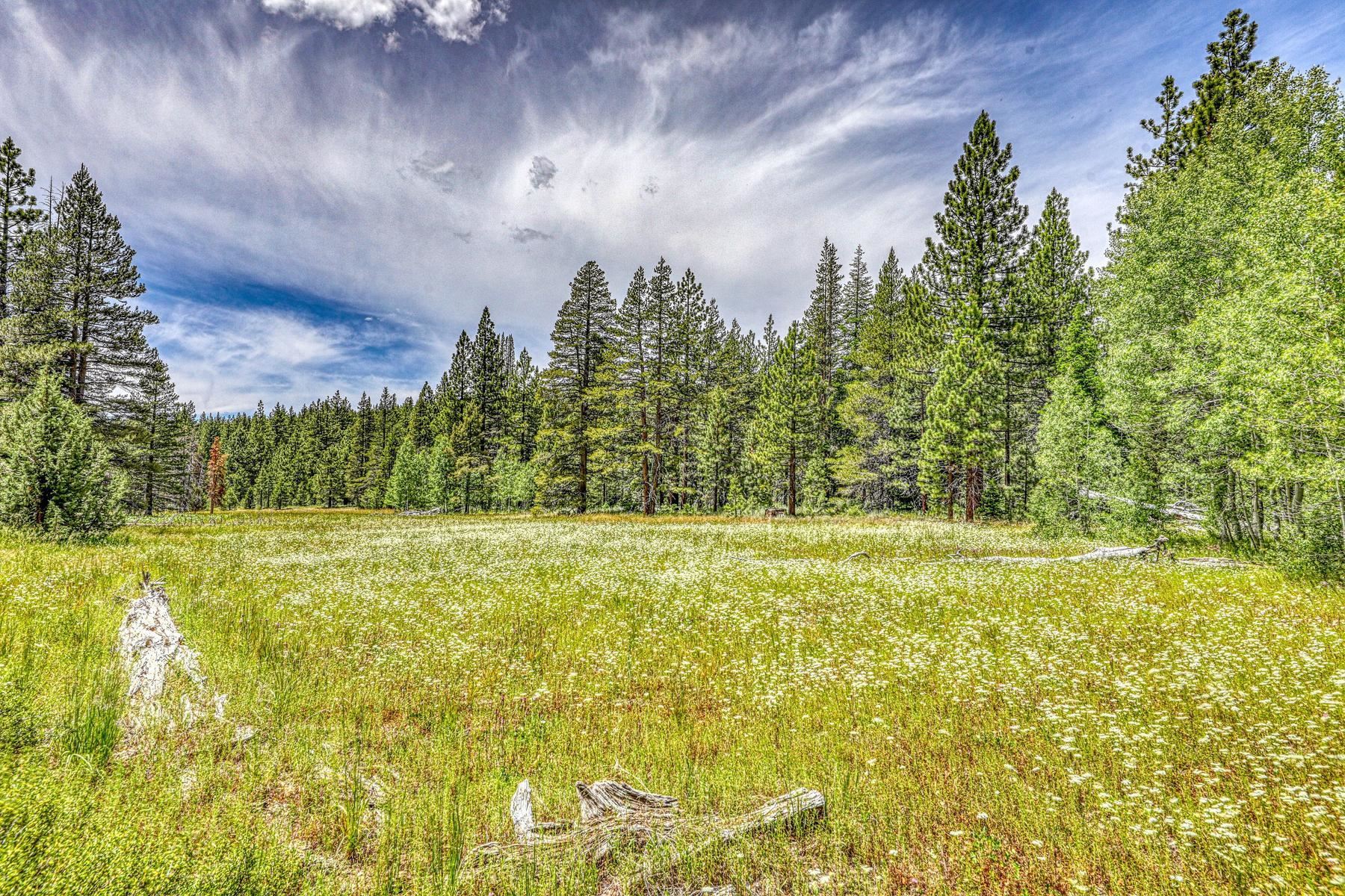 16145 Martis Peak Road Truckee, CA 96161 - Photo 11 of 21