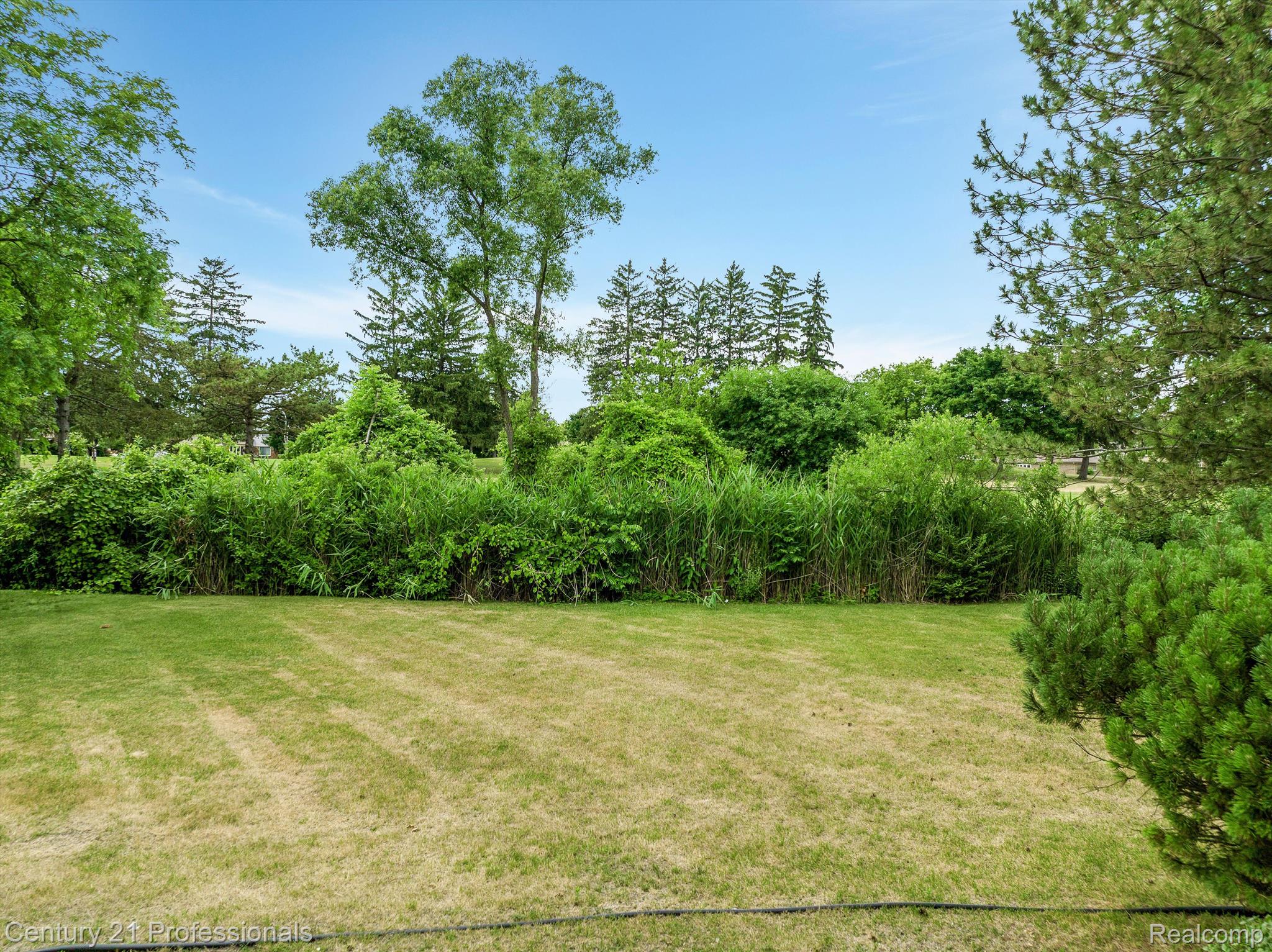 738 Lion Street Rochester, MI 48307 - Photo 37 of 37 Gallery Image 37