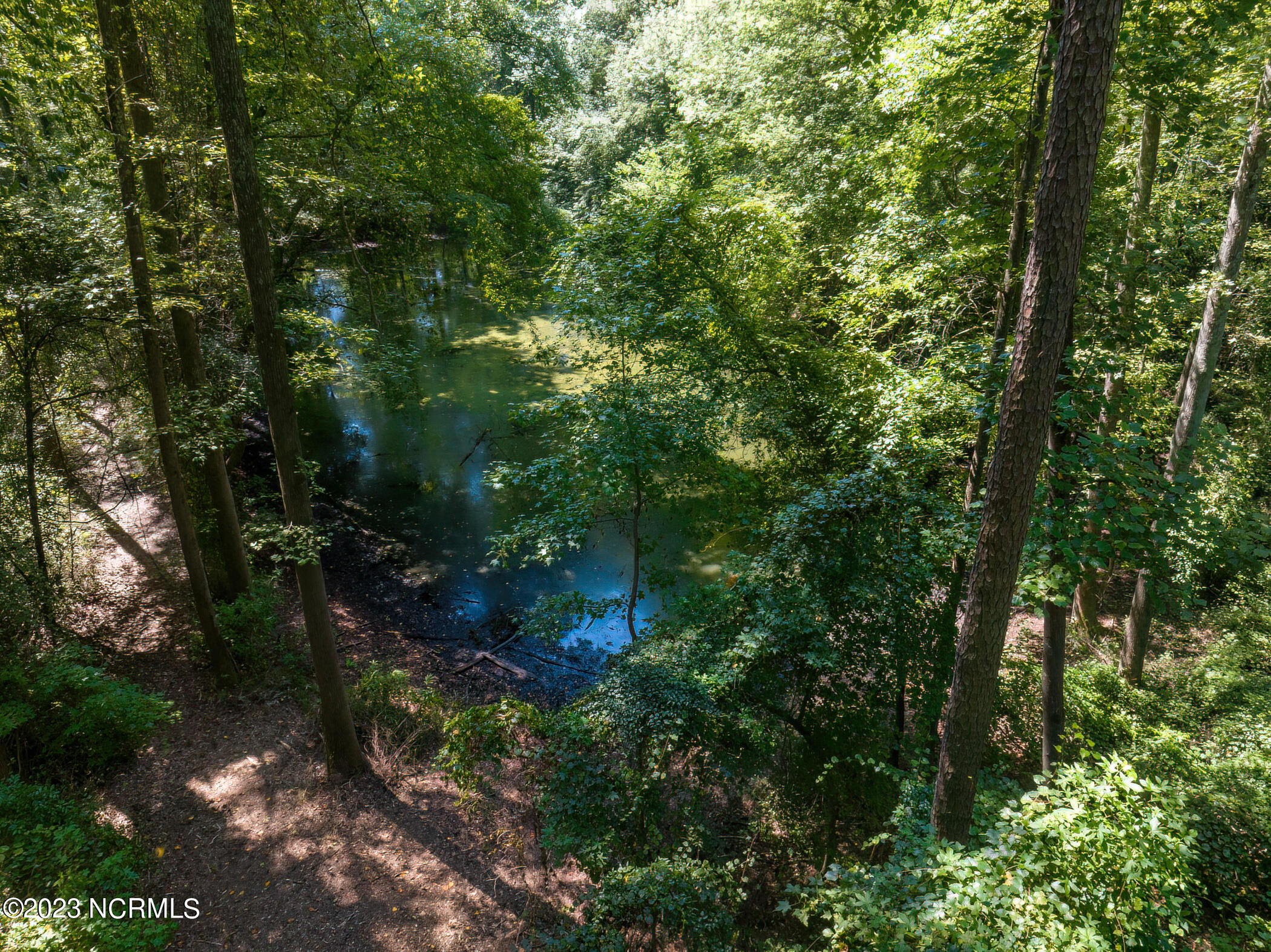 767 Old Cheraw Highway Rockingham, NC 28379 - Photo 22 of 50 DJI_0306-DeNoiseAI-low-light