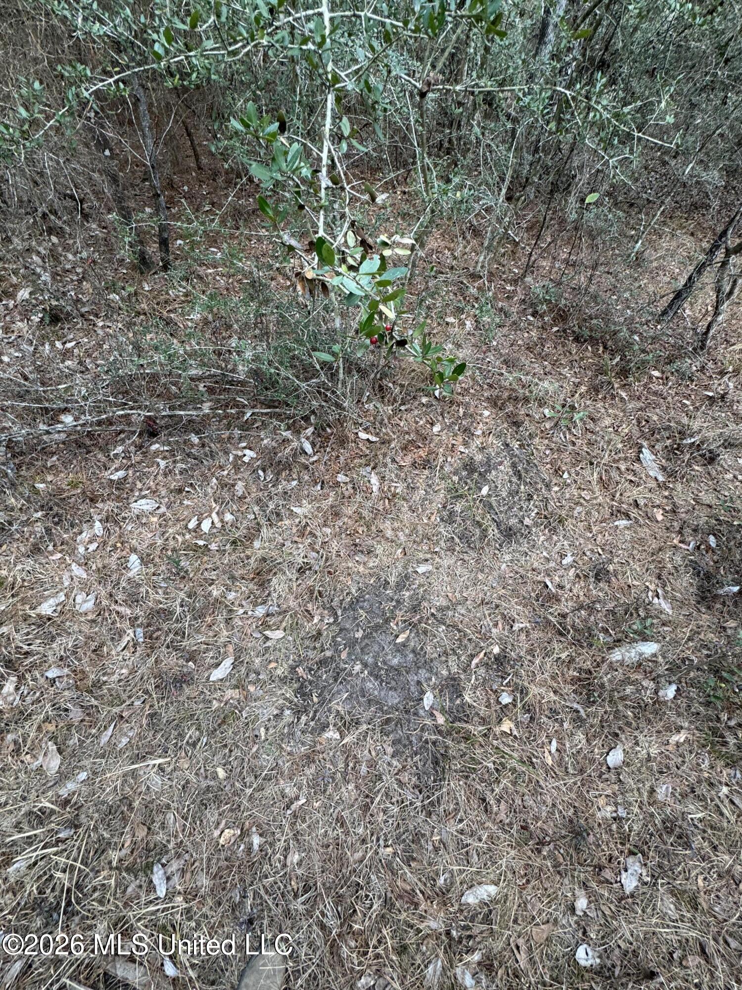 42 Mississippi State Line, MS 39362 - Photo 14 of 87 Photo Feb 13 2026, 4 28 30 PM