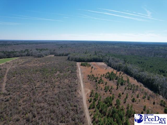 Tbd Paper Mill Road Florence, SC 29505 - Photo 4 of 28 Gallery Image 4