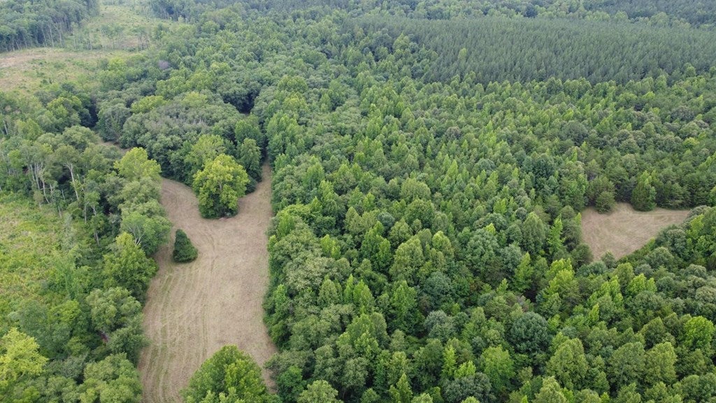 Bethel Road Phenix, VA 23959 - Photo 4 of 15 Gallery Image 4