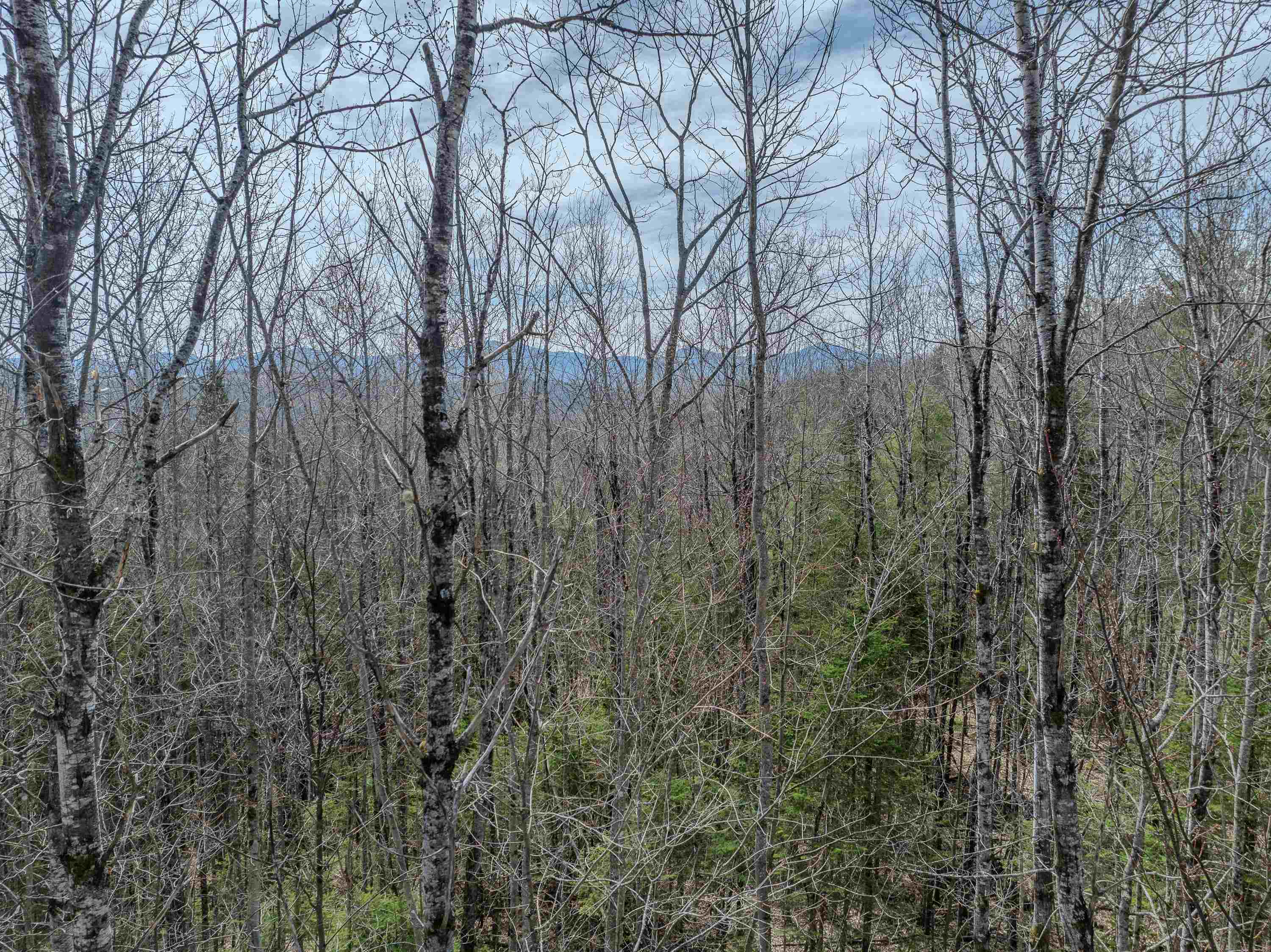 Lot 2 Mountain Road Dalton, NH 03598 - Photo 11 of 27