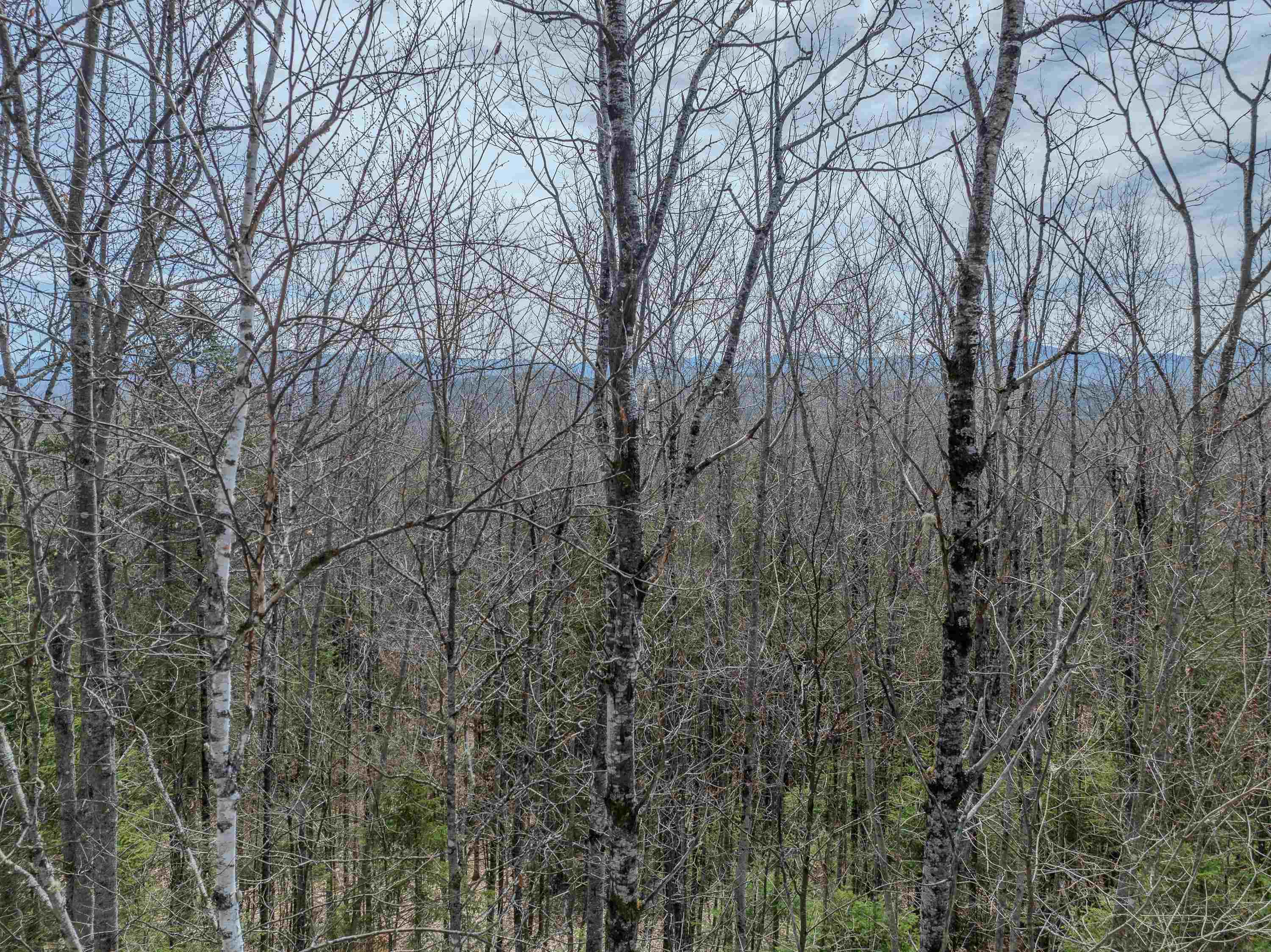 Lot 2 Mountain Road Dalton, NH 03598 - Photo 12 of 27