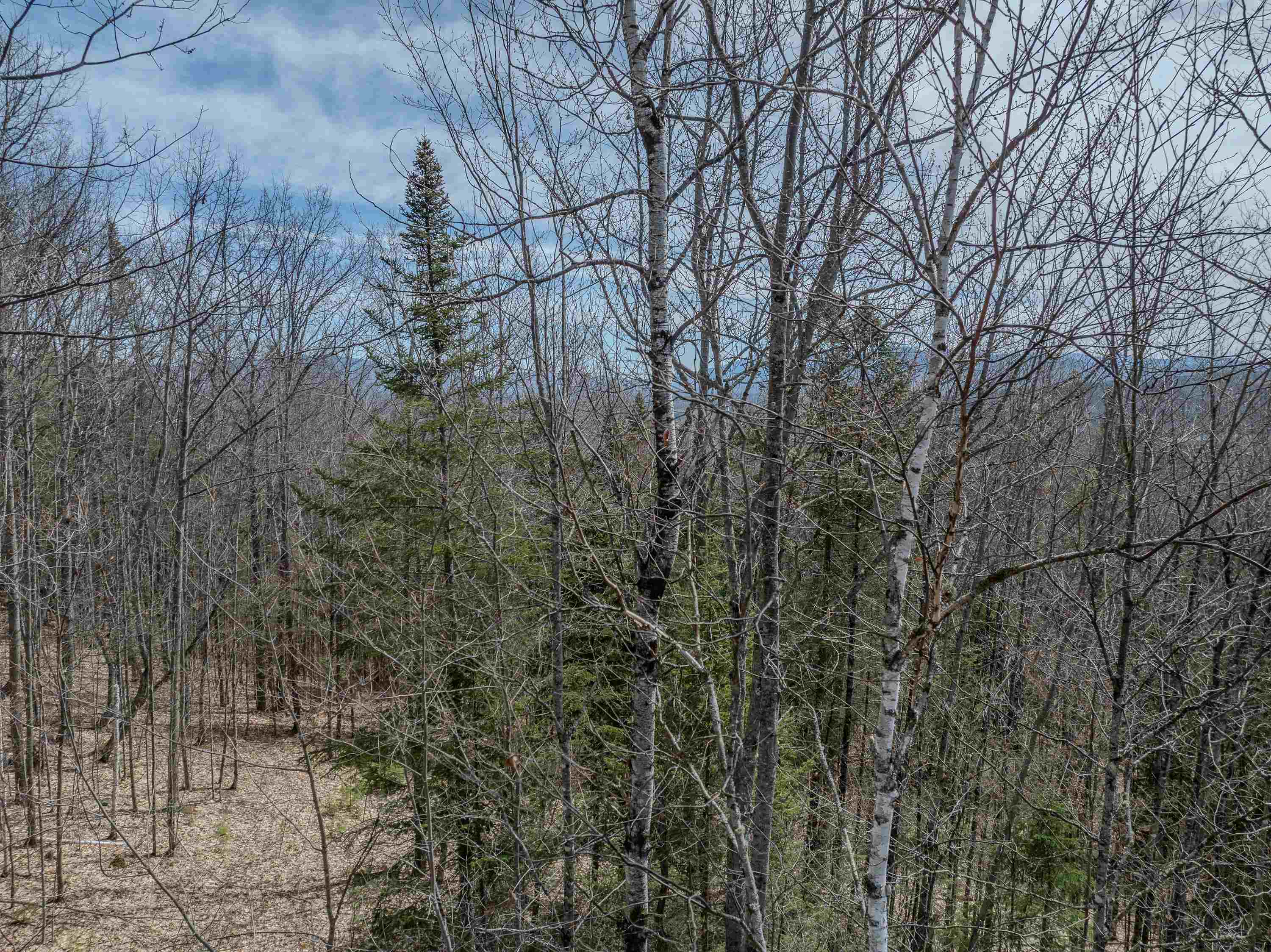 Lot 2 Mountain Road Dalton, NH 03598 - Photo 13 of 27
