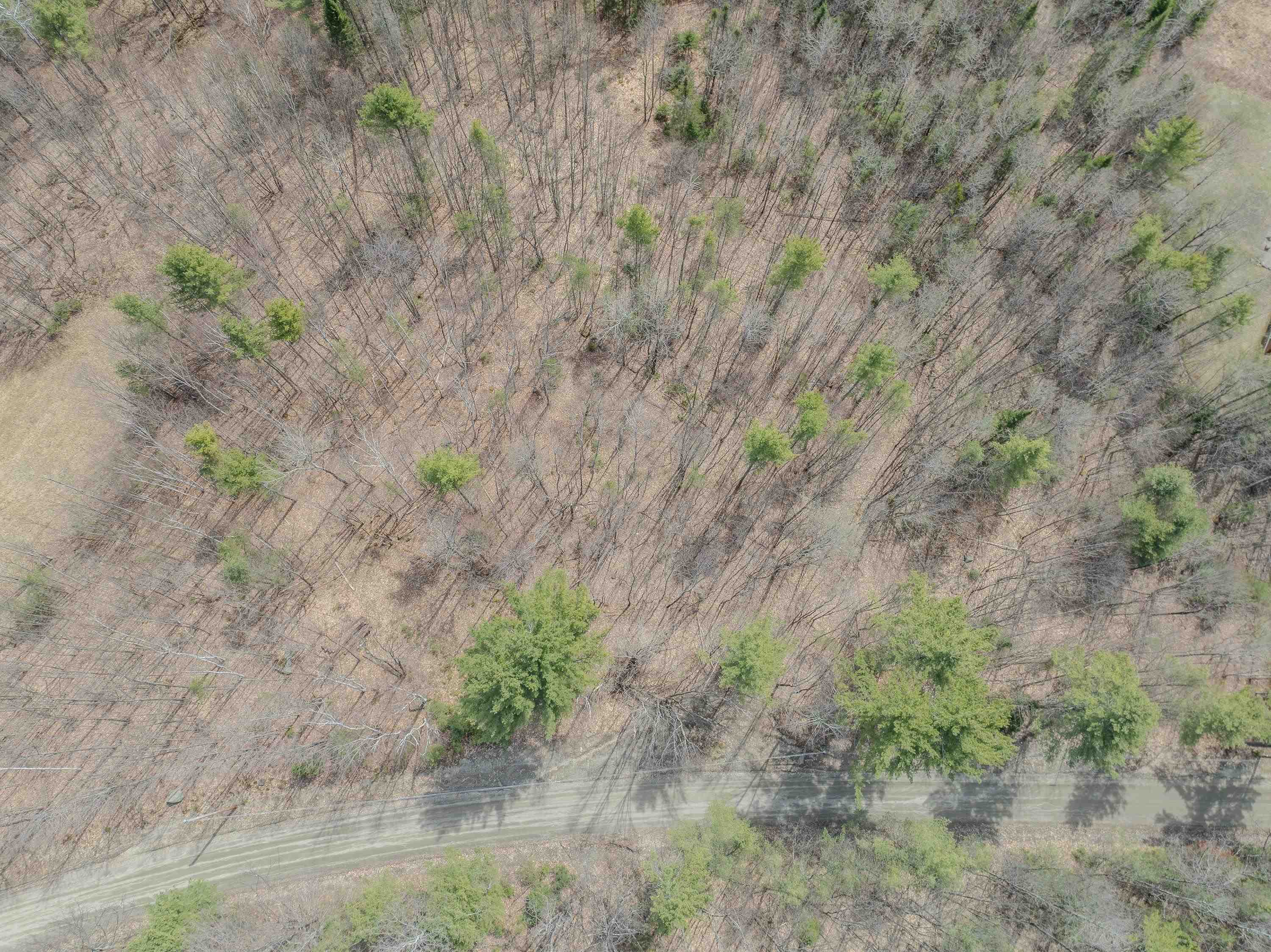 Lot 2 Mountain Road Dalton, NH 03598 - Photo 22 of 27
