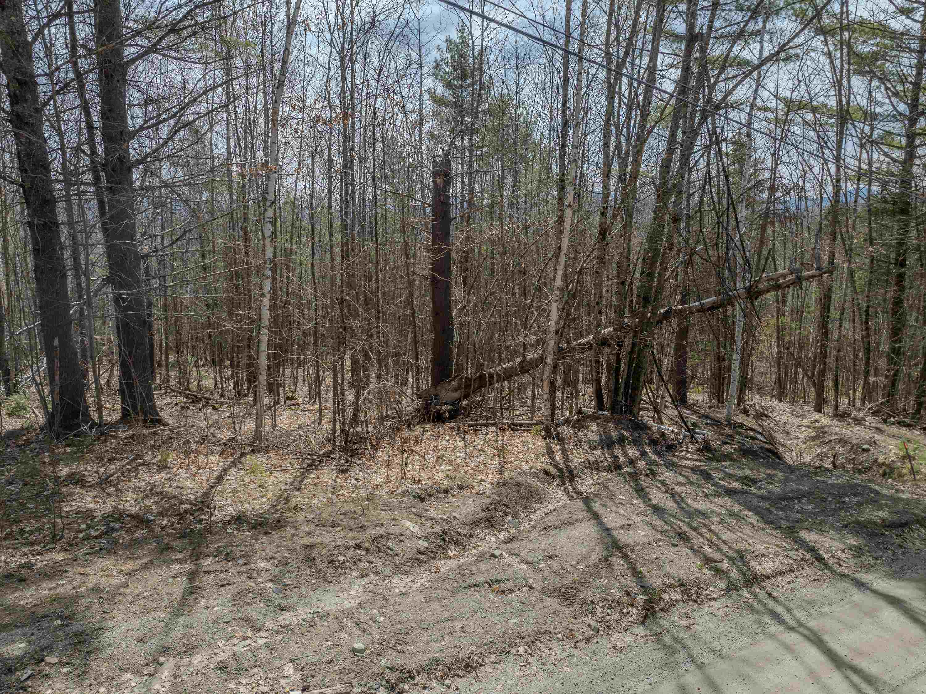 Lot 2 Mountain Road Dalton, NH 03598 - Photo 25 of 27