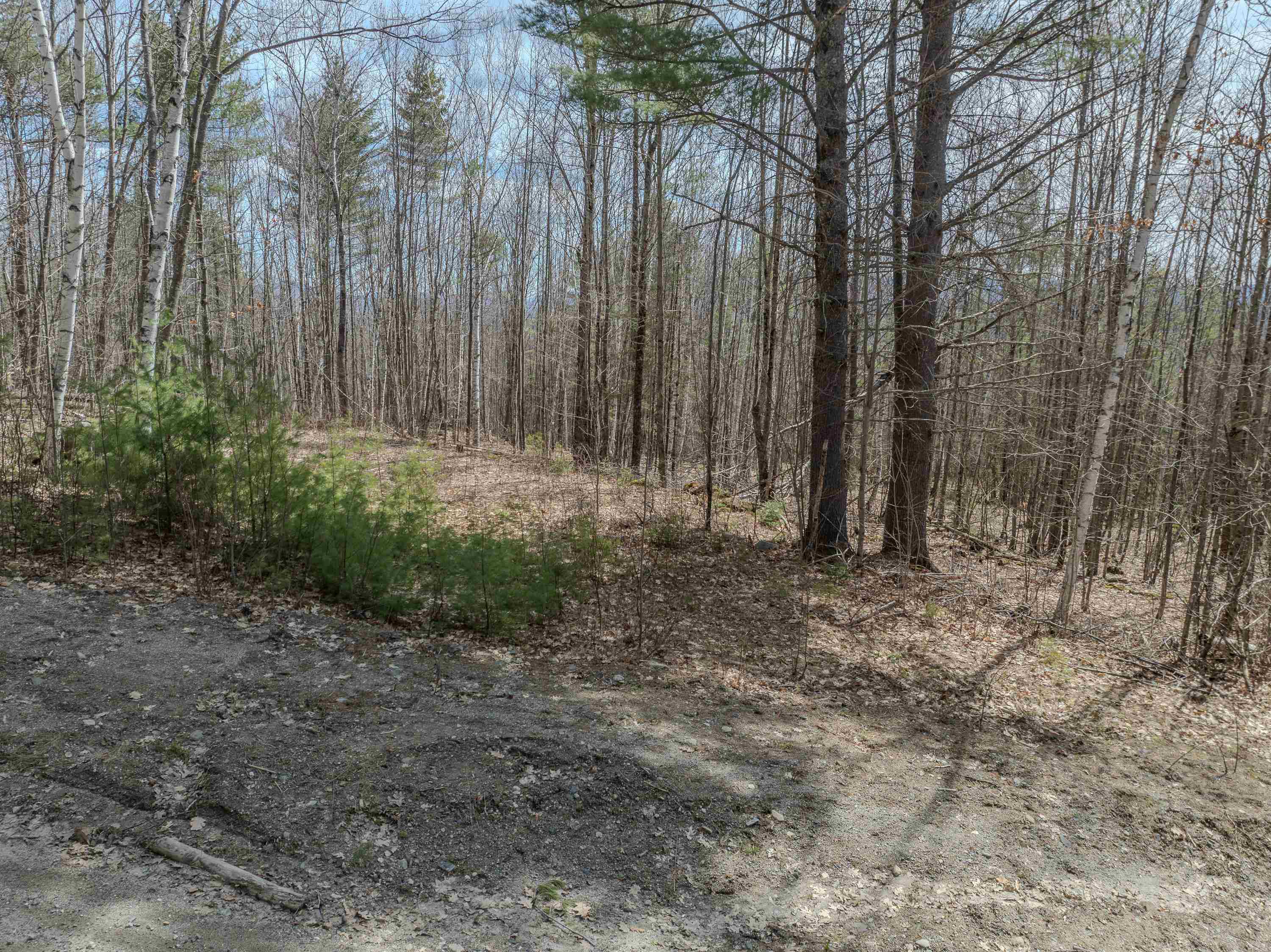 Lot 2 Mountain Road Dalton, NH 03598 - Photo 26 of 27