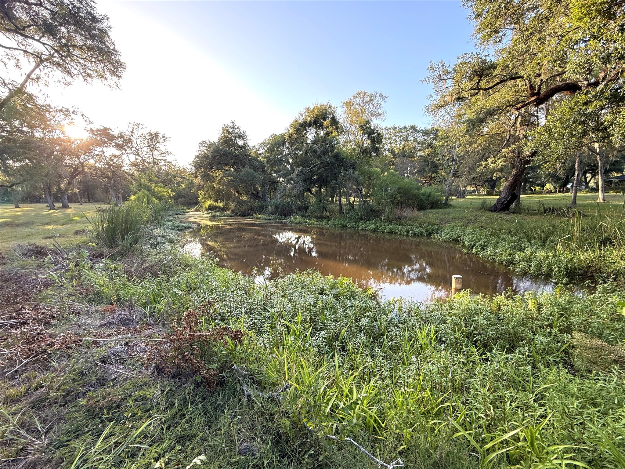0 River Oaks Road Damon, TX 77430 - Photo 4 of 11 Gallery Image 4