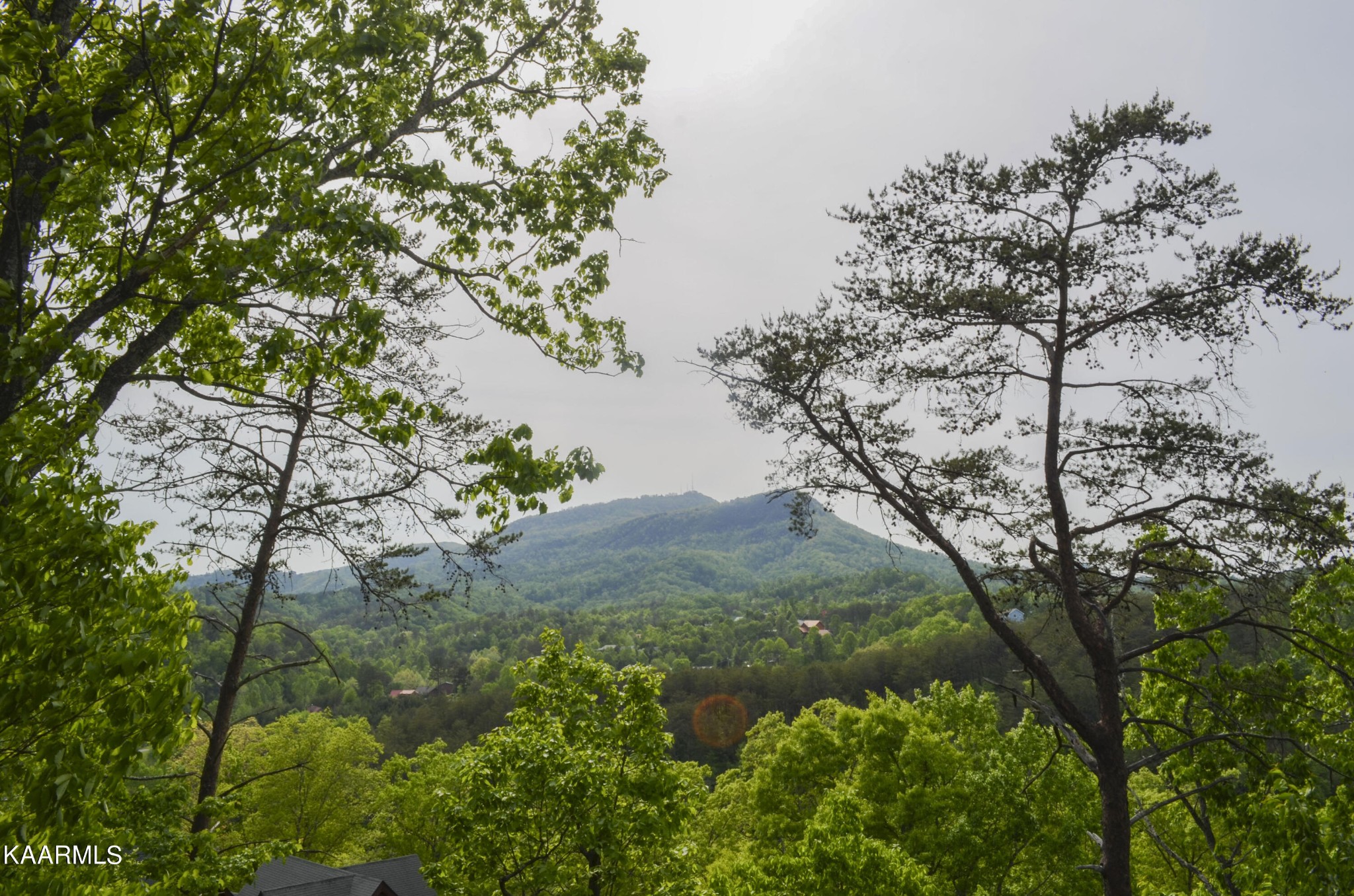 1304 Timberwolf Way Sevierville, TN 37876 - Photo 19 of 36 a view of a tree