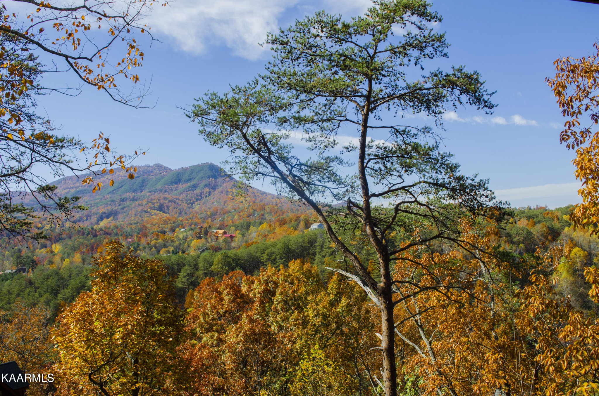 1304 Timberwolf Way Sevierville, TN 37876 - Photo 4 of 36
