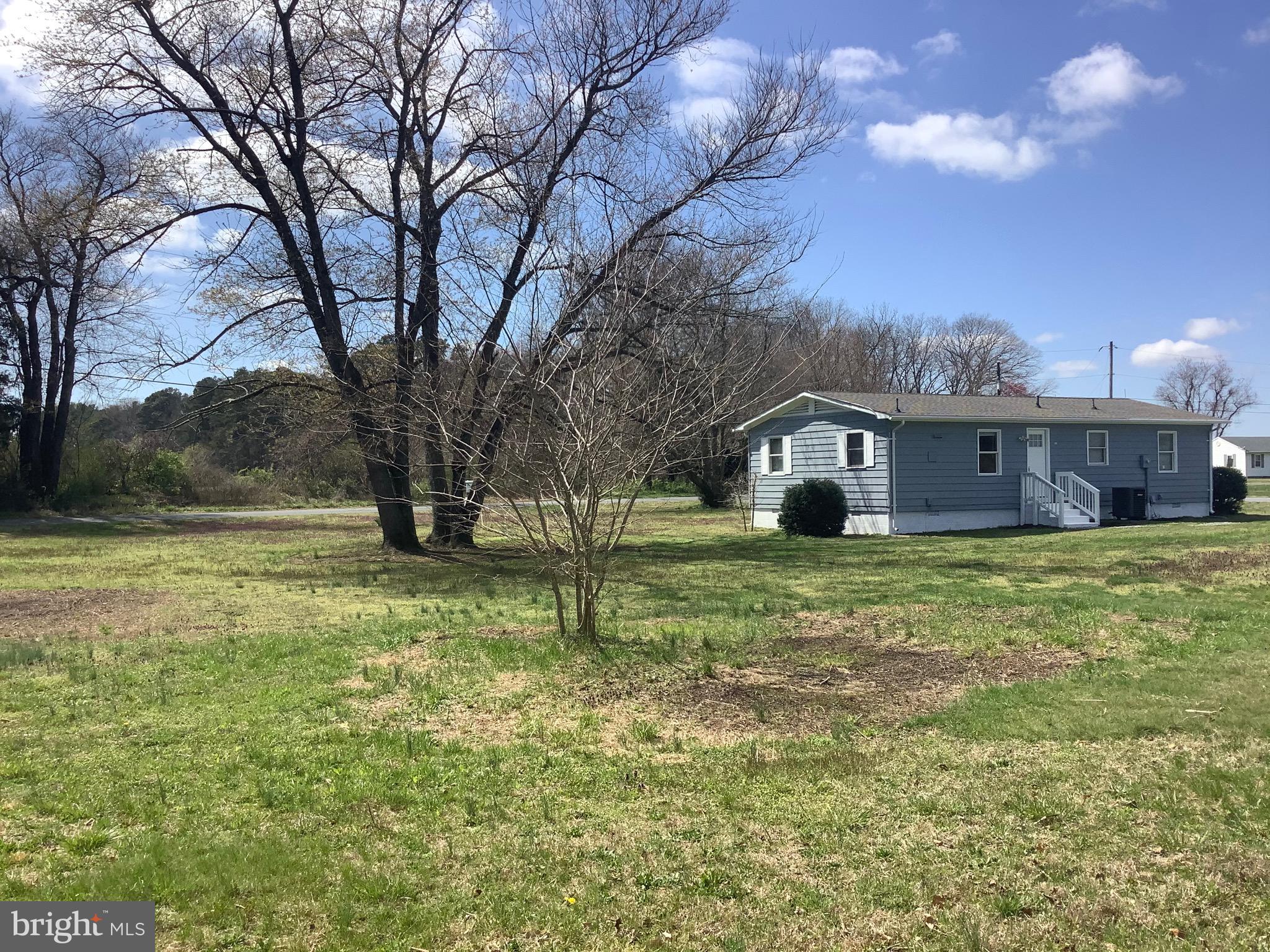 4214 Railroad Road Hurlock, MD 21643 - Photo 4 of 23 Back and side yard view