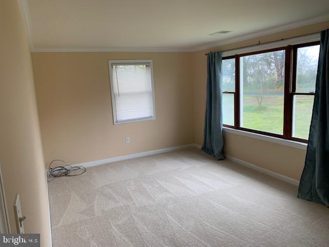4214 Railroad Road Hurlock, MD 21643 - Photo 10 of 23 Living Room