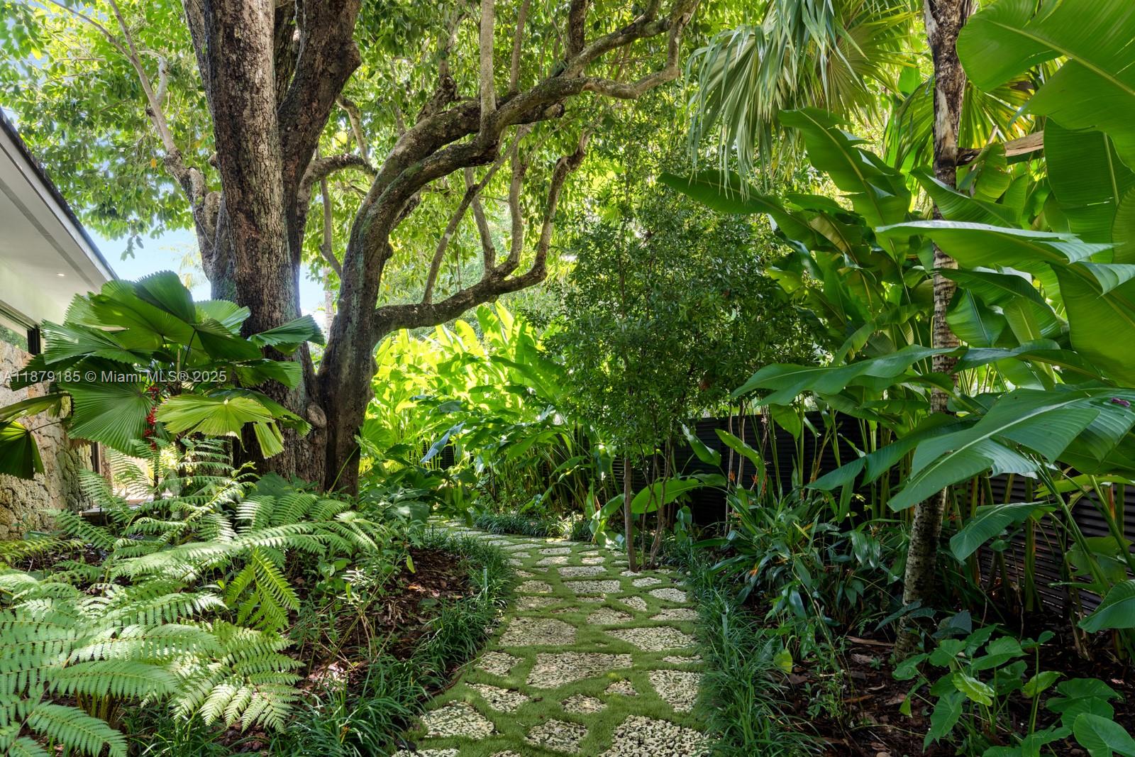 3651 St Gaudens Road Coconut Grove, FL 33133 - Photo 52 of 70 a view of a tree in a garden