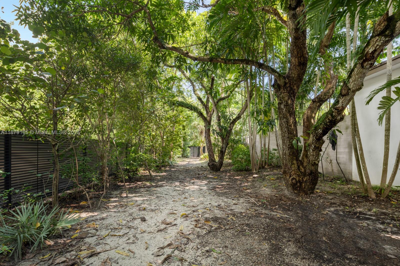 3651 St Gaudens Road Coconut Grove, FL 33133 - Photo 69 of 70 a backyard of a house with lots of plants and large trees