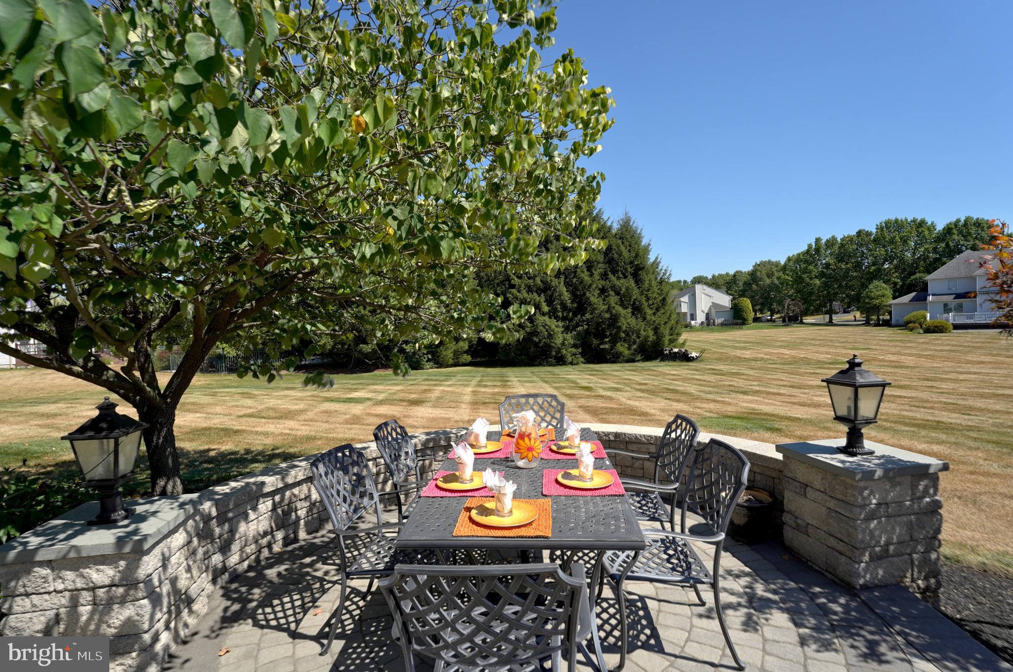 27 Priory Road Princeton Junction, NJ 08550 - Photo 44 of 48 Stunning Paver Patio