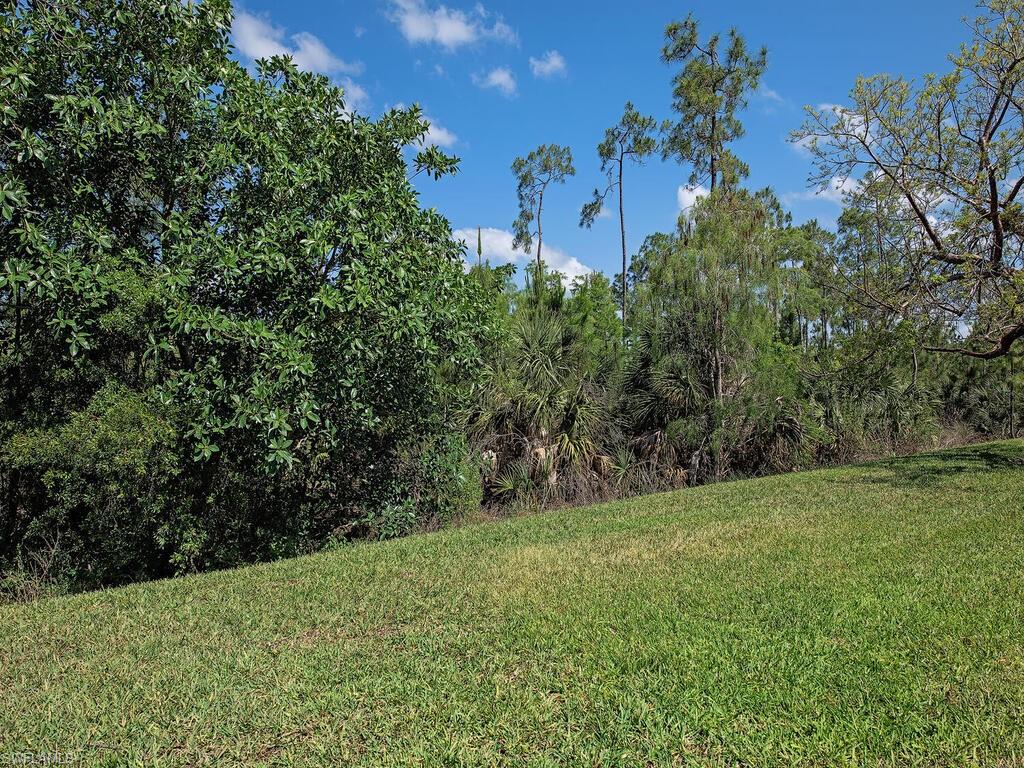 3487 Pacific Drive Naples, FL 34119 - Photo 21 of 33 a view of a green field with lots of bushes