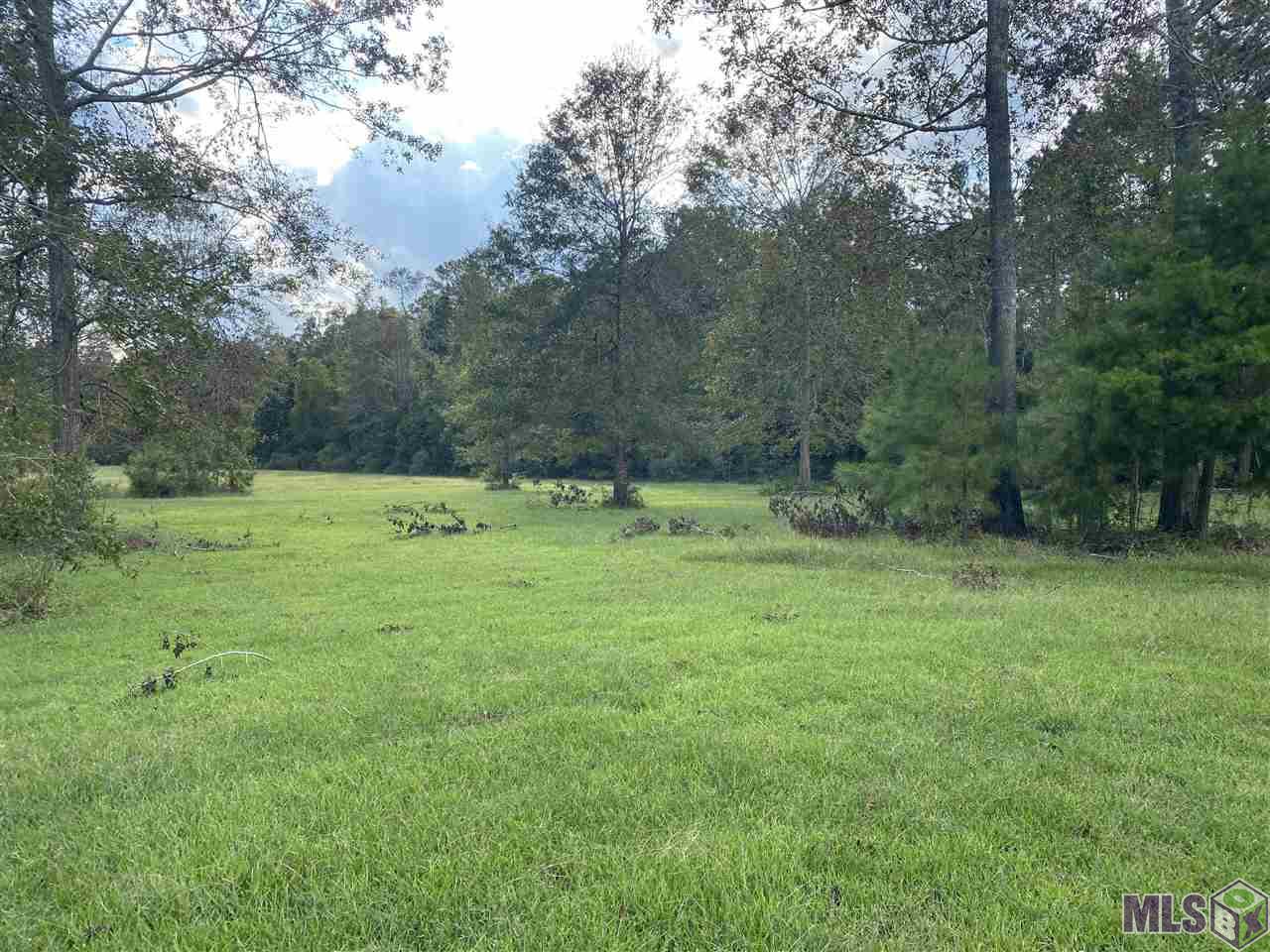 17945 Little Road Livingston, LA 70754 - Photo 7 of 15 Gallery Image 7