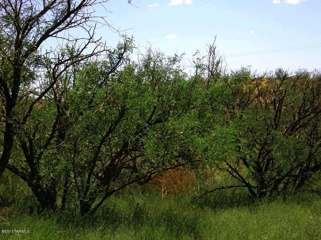 Lot 019 North Cascabel Road, Unit 19F Benson, AZ 85602 - Photo 10 of 14