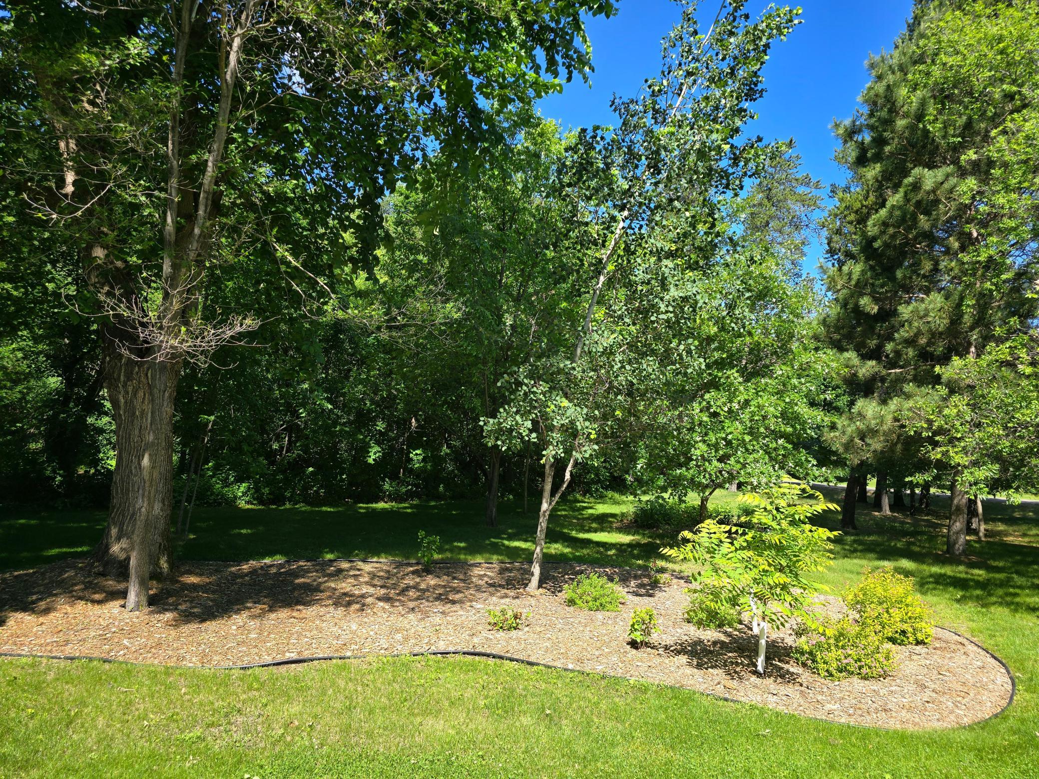 8550 Timberlane Loop Northwest Rice, MN 56367 - Photo 13 of 65