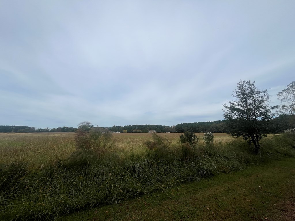 - Seaside Circle, Unit 28A Parksley, VA 23421 - Photo 7 of 26