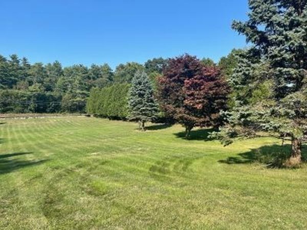 128 North Street Rochester, MA 02770 - Photo 28 of 32 a view of a garden with a tree